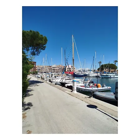 Joli Vue Port